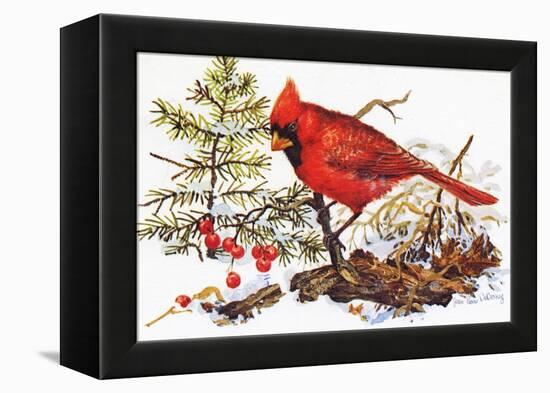 Holiday Christmas Cardinal, Beatrice Litzinger Collection-null-Framed Stretched Canvas