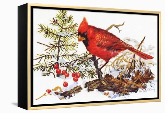 Holiday Christmas Cardinal, Beatrice Litzinger Collection-null-Framed Stretched Canvas