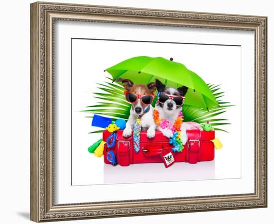 Holiday Dogs-Javier Brosch-Framed Photographic Print