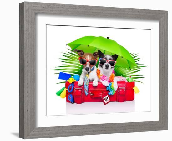 Holiday Dogs-Javier Brosch-Framed Photographic Print