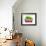 Holiday Dogs-Javier Brosch-Framed Photographic Print displayed on a wall