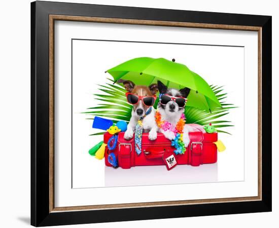 Holiday Dogs-Javier Brosch-Framed Photographic Print