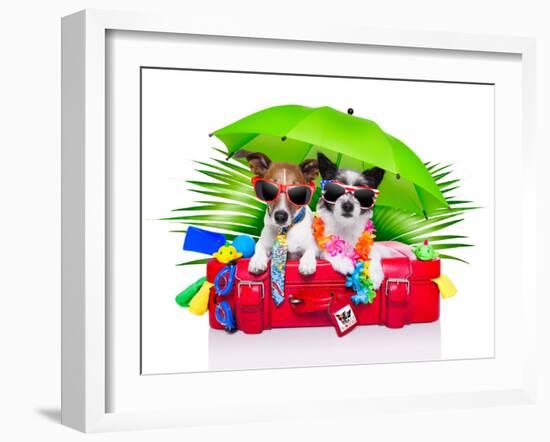 Holiday Dogs-Javier Brosch-Framed Photographic Print