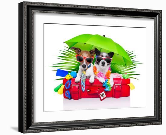 Holiday Dogs-Javier Brosch-Framed Photographic Print