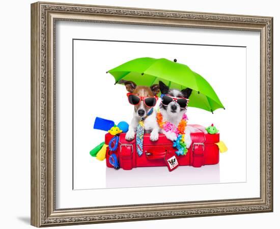 Holiday Dogs-Javier Brosch-Framed Photographic Print