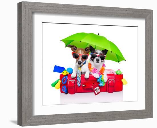 Holiday Dogs-Javier Brosch-Framed Photographic Print