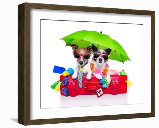 Holiday Dogs-Javier Brosch-Framed Photographic Print