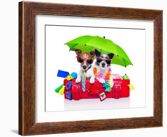 Holiday Dogs-Javier Brosch-Framed Photographic Print