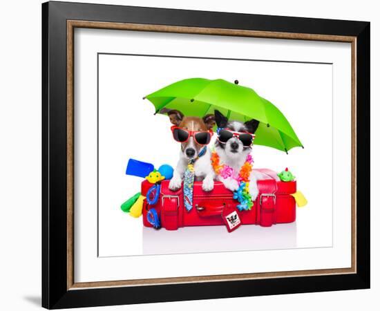 Holiday Dogs-Javier Brosch-Framed Photographic Print