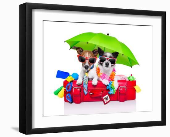 Holiday Dogs-Javier Brosch-Framed Photographic Print