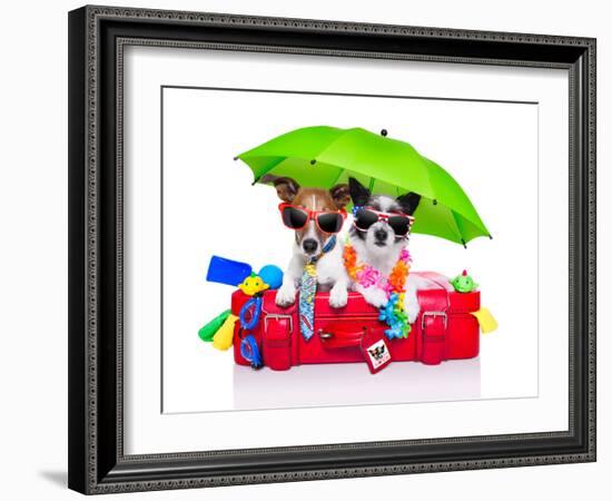 Holiday Dogs-Javier Brosch-Framed Photographic Print