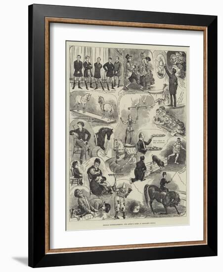 Holiday Entertainments, Our Artist's Notes at Hengler's Circus-Alfred Courbould-Framed Giclee Print