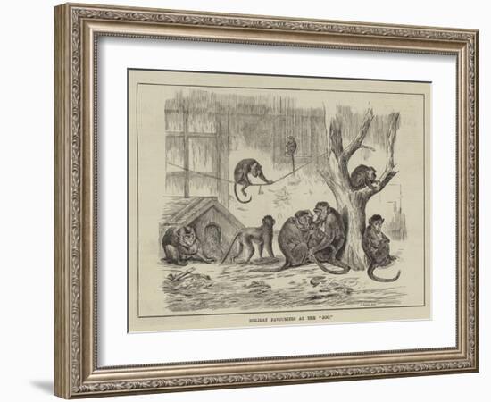 Holiday Favourites at the Zoo-null-Framed Giclee Print