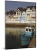 Holiday Flats Overlooking the Port, Deauville, Calvados, Normandy, France-David Hughes-Mounted Premium Photographic Print