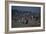 Holiday, New Jersey Shore, 2014-Anthony Butera-Framed Giclee Print