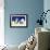 Holiday Penguin-Betz White-Framed Art Print displayed on a wall