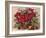 Holiday Poinsettia Basket-Barbara Mock-Framed Giclee Print