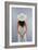 Holiday Portrait, 2005-Lincoln Seligman-Framed Giclee Print