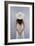 Holiday Portrait, 2005-Lincoln Seligman-Framed Giclee Print