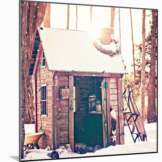 Holiday Shed-Kelly Poynter-Mounted Art Print