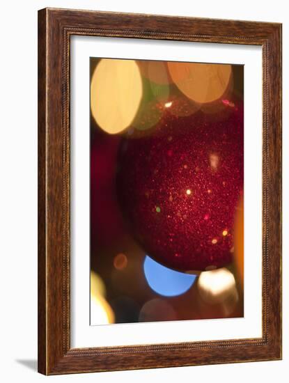 Holiday Spirit-K.B. White-Framed Photographic Print