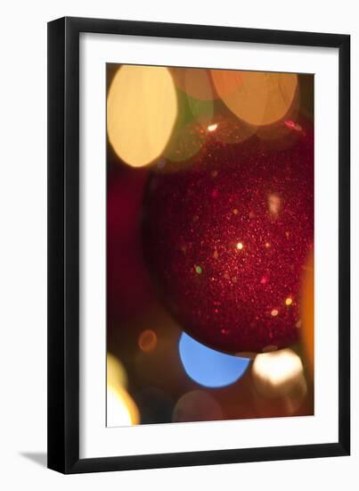 Holiday Spirit-K.B. White-Framed Photographic Print