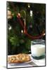 Holiday still life. Christmas cookies & milk for Santa. Property released.-Cindy Miller Hopkins-Mounted Photographic Print