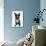 Holiday Summer Dog-Javier Brosch-Photographic Print displayed on a wall
