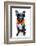 Holiday Summer Dog-Javier Brosch-Framed Photographic Print