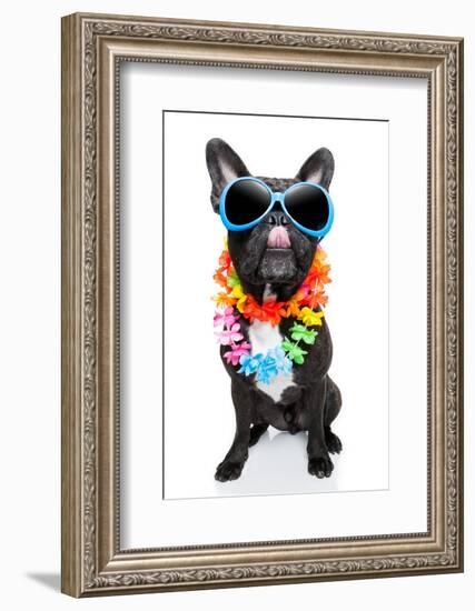 Holiday Summer Dog-Javier Brosch-Framed Photographic Print