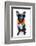 Holiday Summer Dog-Javier Brosch-Framed Photographic Print