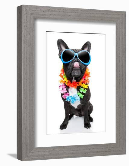 Holiday Summer Dog-Javier Brosch-Framed Photographic Print