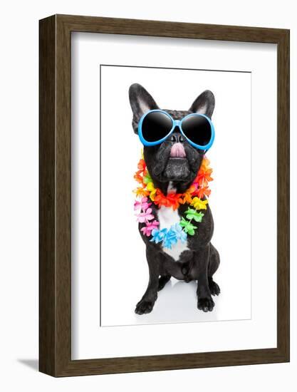 Holiday Summer Dog-Javier Brosch-Framed Photographic Print