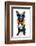 Holiday Summer Dog-Javier Brosch-Framed Photographic Print