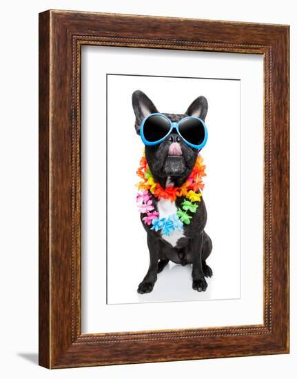 Holiday Summer Dog-Javier Brosch-Framed Photographic Print