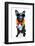 Holiday Summer Dog-Javier Brosch-Framed Photographic Print