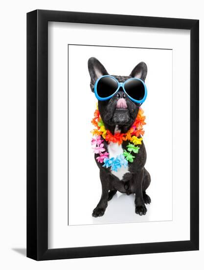 Holiday Summer Dog-Javier Brosch-Framed Photographic Print