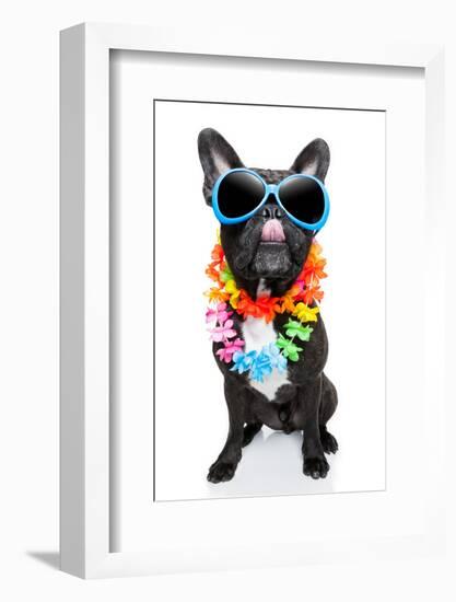 Holiday Summer Dog-Javier Brosch-Framed Photographic Print