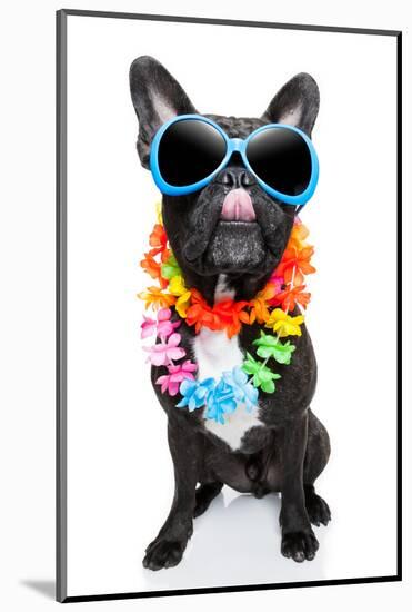 Holiday Summer Dog-Javier Brosch-Mounted Photographic Print