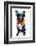 Holiday Summer Dog-Javier Brosch-Framed Photographic Print