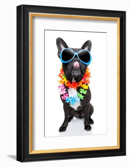 Holiday Summer Dog-Javier Brosch-Framed Photographic Print