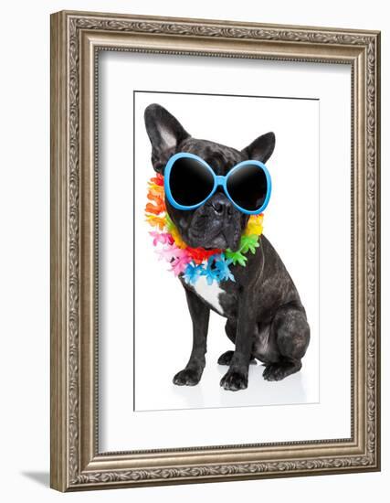 Holiday Summer Dog-Javier Brosch-Framed Photographic Print