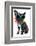 Holiday Summer Dog-Javier Brosch-Framed Photographic Print