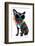 Holiday Summer Dog-Javier Brosch-Framed Photographic Print