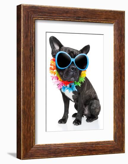 Holiday Summer Dog-Javier Brosch-Framed Photographic Print