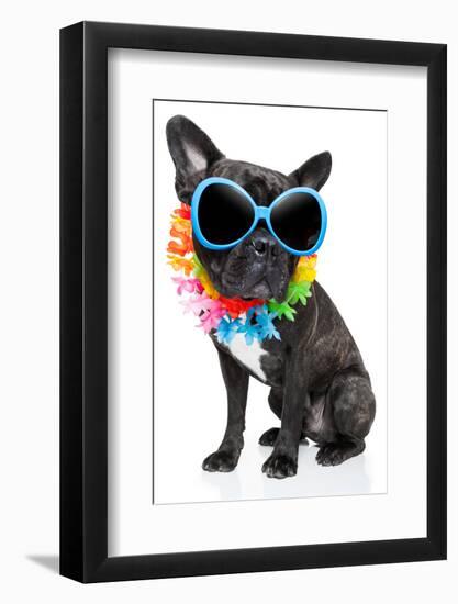 Holiday Summer Dog-Javier Brosch-Framed Photographic Print