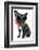 Holiday Summer Dog-Javier Brosch-Framed Photographic Print