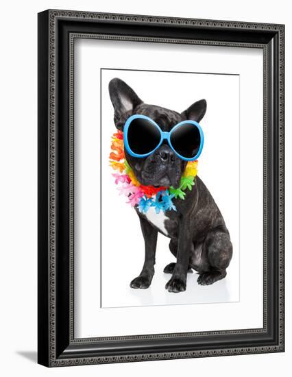 Holiday Summer Dog-Javier Brosch-Framed Photographic Print