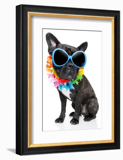 Holiday Summer Dog-Javier Brosch-Framed Photographic Print