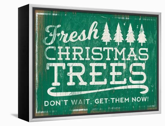 Holiday Wooden Signs I-Sd Graphics Studio-Framed Stretched Canvas